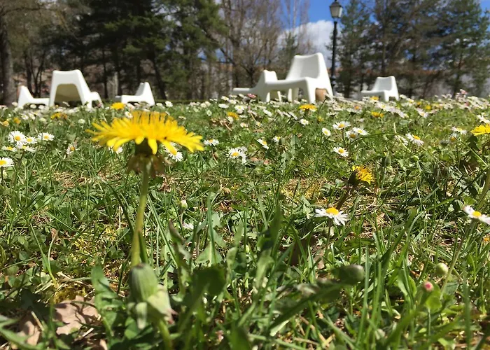 Hotell La Pardina 3*